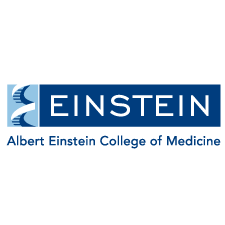 Albert Einstein College of Medicine